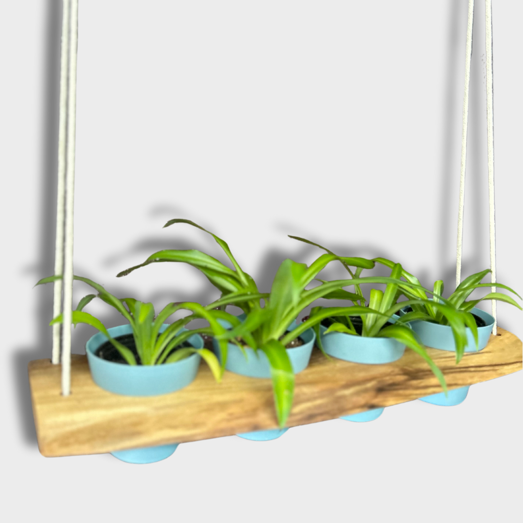 Hanging Plant Tray for 4" Planters