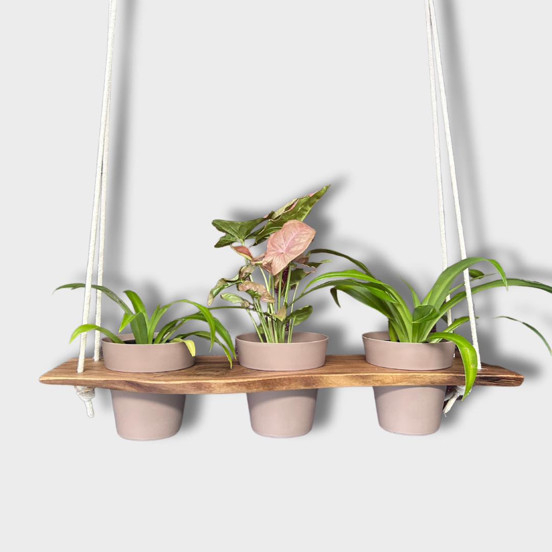 Hanging Plant Tray for 4" Planters