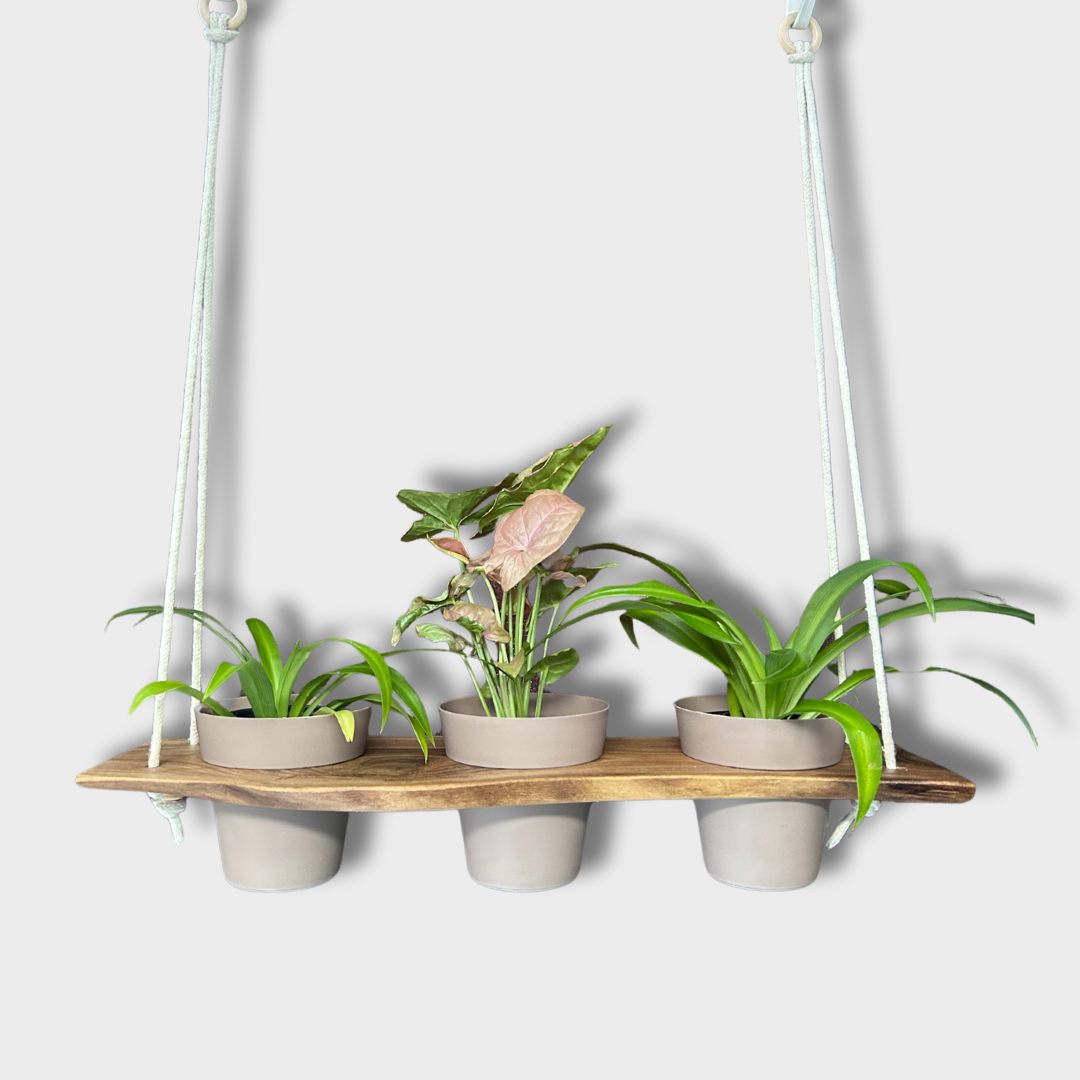 Hanging Plant Tray for 4" Planters