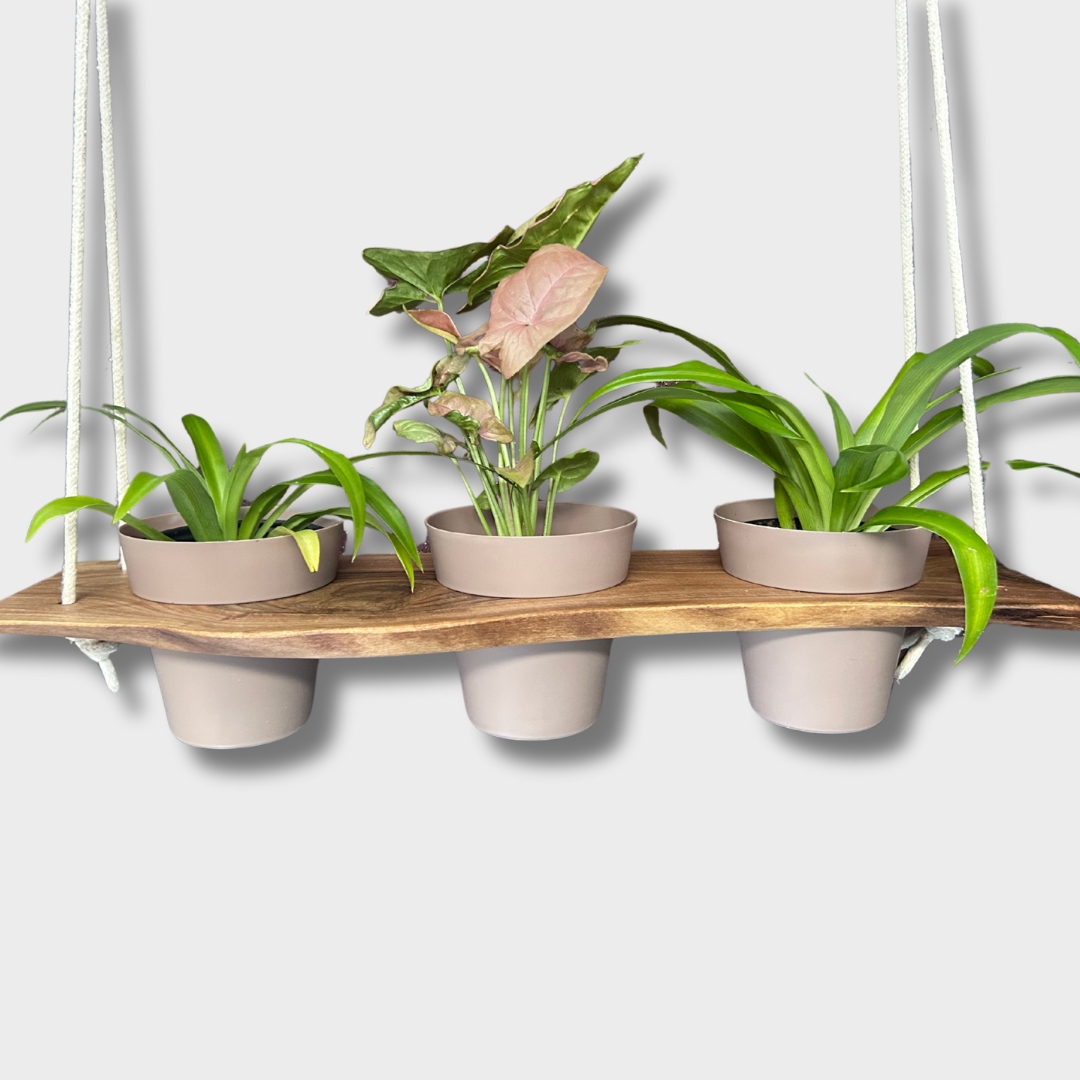 Hanging Plant Tray for 4" Planters