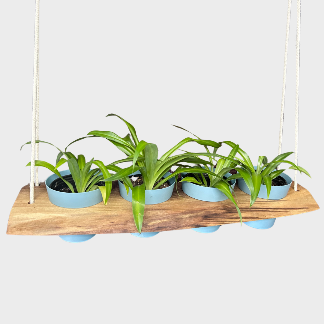 Hanging Plant Tray for 4" Planters