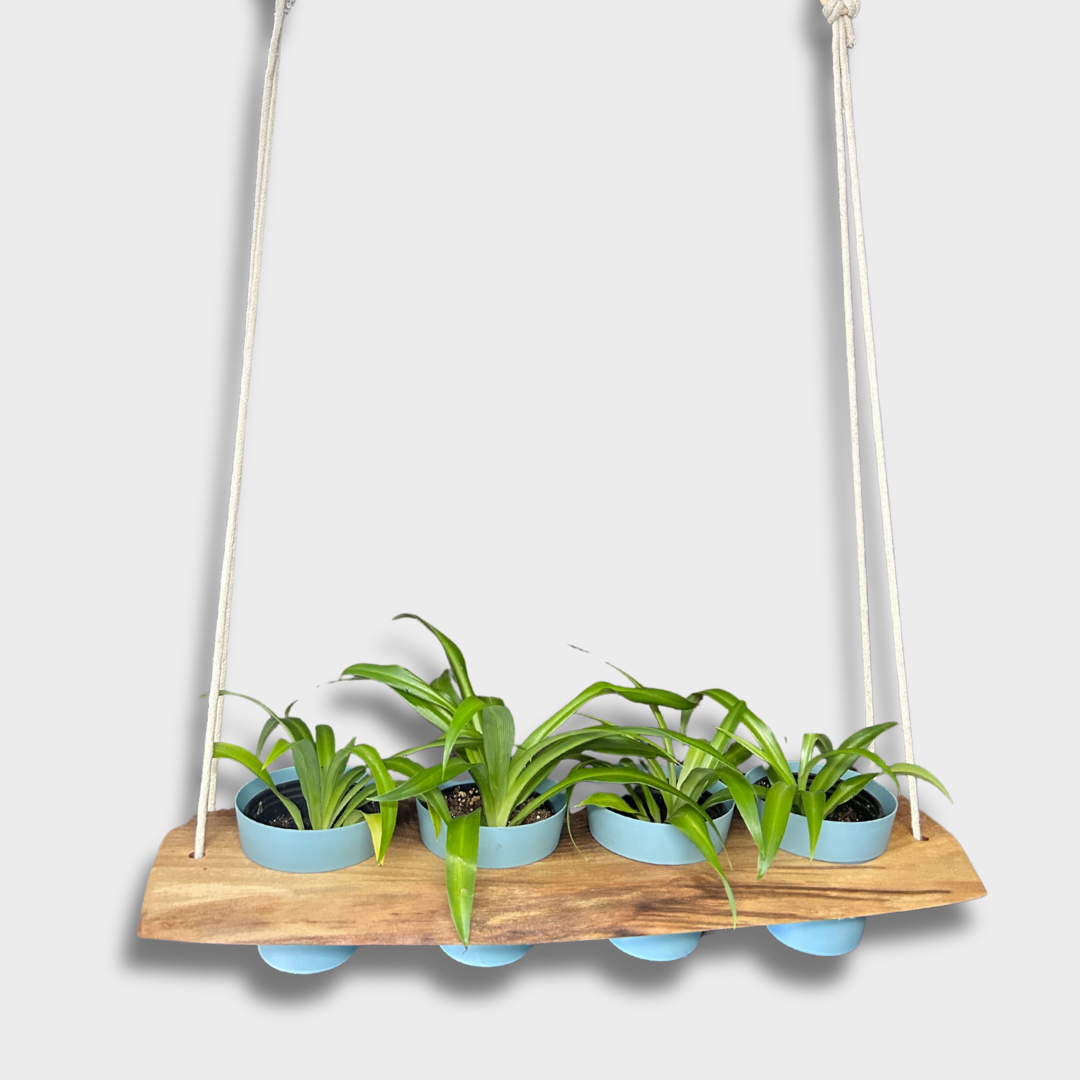 Hanging Plant Tray for 4" Planters